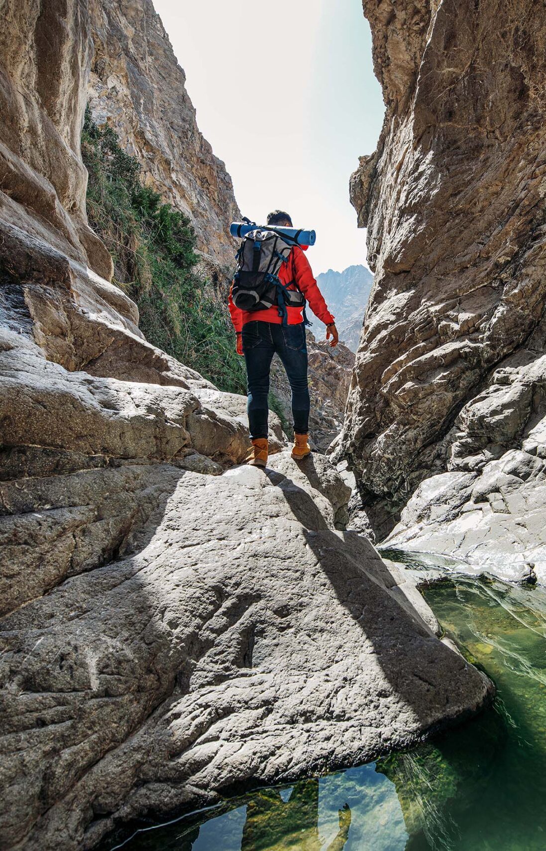 khorfakkan wadi shees